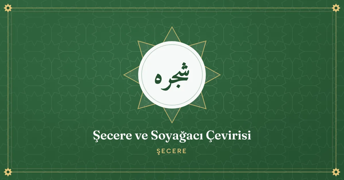Osmanlıca şecere belgesi üzerinde yazılı isimler ve tarihler
